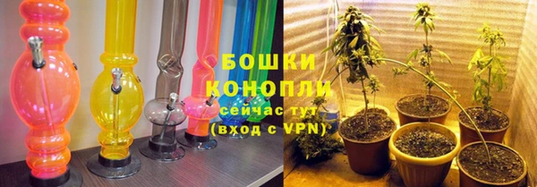 ПСИЛОЦИБИНОВЫЕ ГРИБЫ Липки