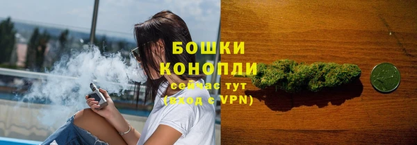 ПСИЛОЦИБИНОВЫЕ ГРИБЫ Липки
